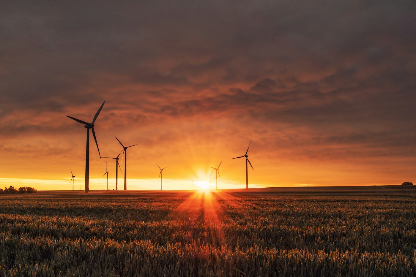 Éoliennes au coucher du soleil